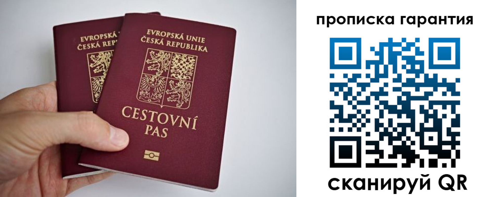 прописка в Фролово